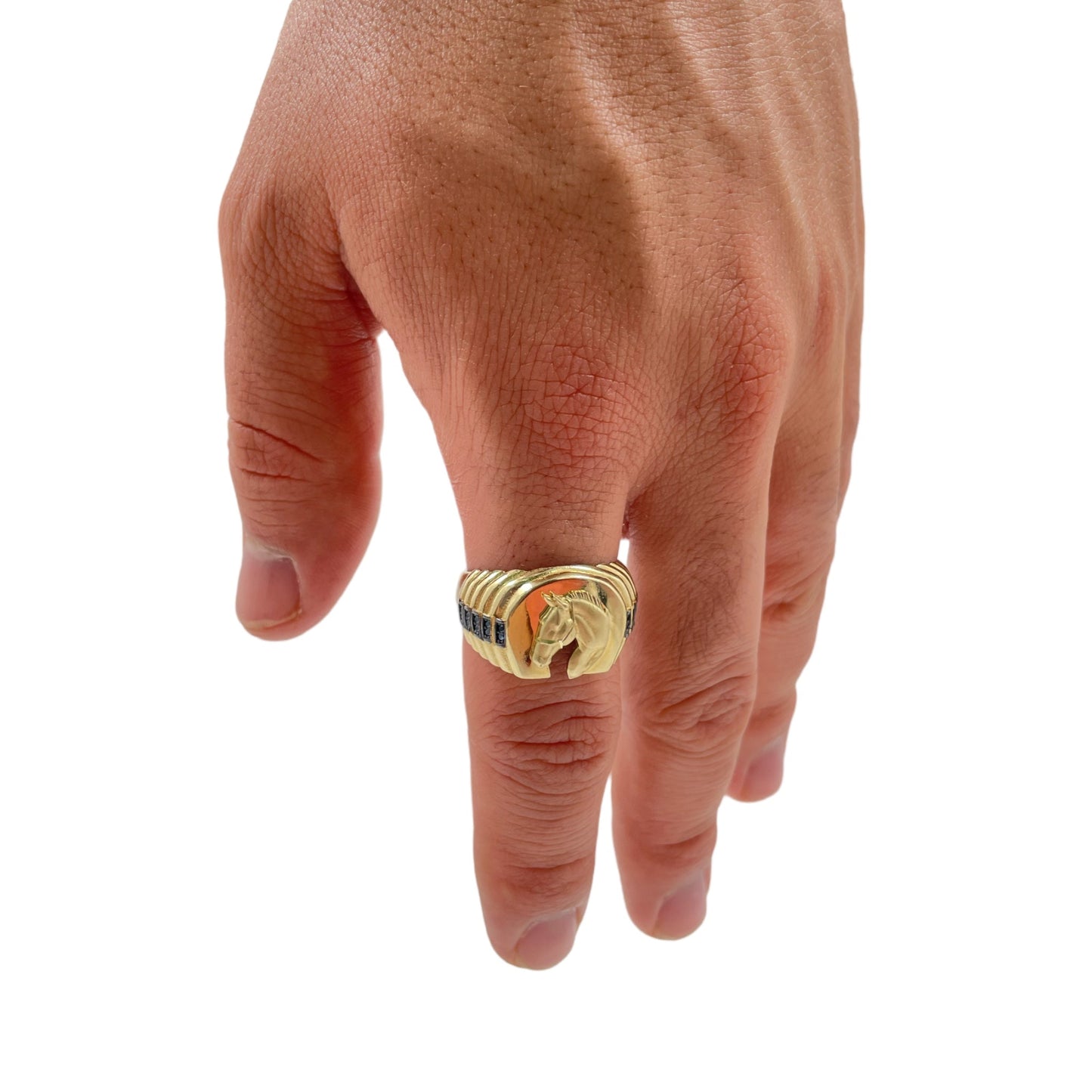 Anillo Herradura Oro 10k